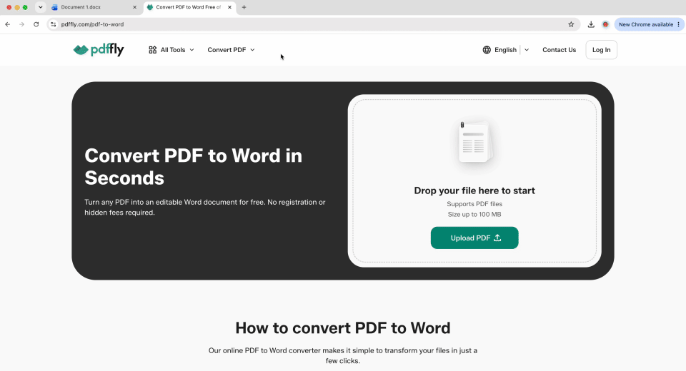 Insert a PDF as an image